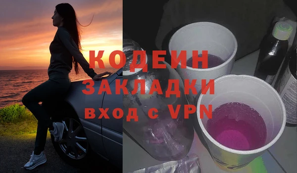 молекула духа Богданович
