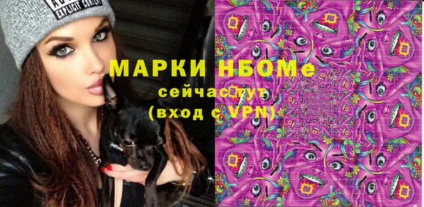 твердый Богородицк