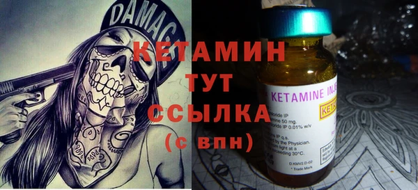 молекула духа Богданович