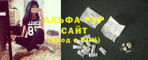 хмурый Нея