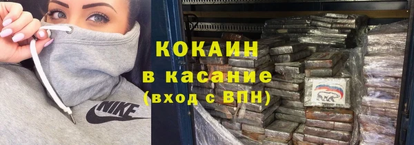 шишки Богородск