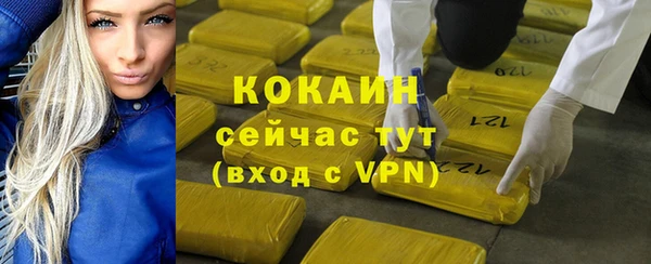 твердый Богородицк