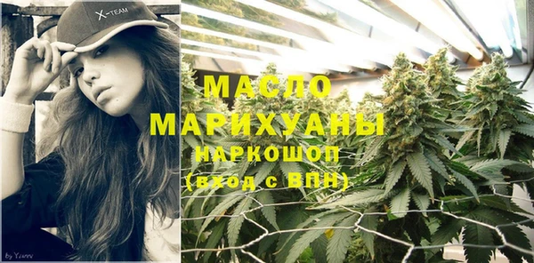 молекула духа Богданович