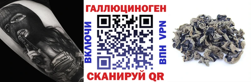 купить наркоту  Улан-Удэ  ОМГ ОМГ ССЫЛКА  Псилоцибиновые грибы прущие грибы 